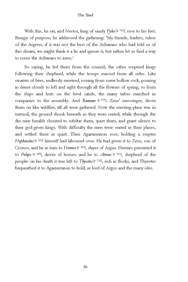 The Iliad - Page 30